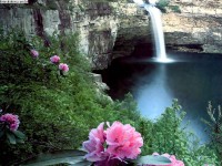 /album/paz/a0000000001709-jpg/