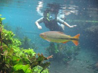 /album/paz/a127991-4-jpg/