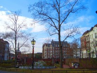 /album/paz/a2147952032-9de00c1f6f-b-jpg/